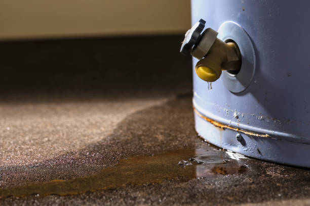 Water damage restoration insurance claims in Treasure Island, FL