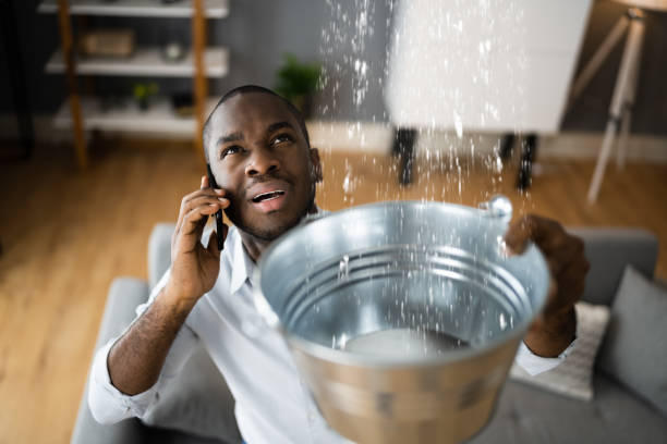 Best 24/7 water damage repair  in Treasure Island, FL