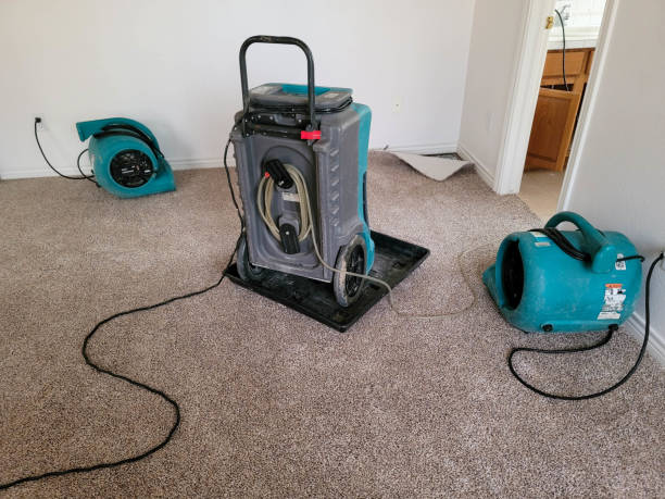 Best Water damage restoration specialists  in Treasure Island, FL