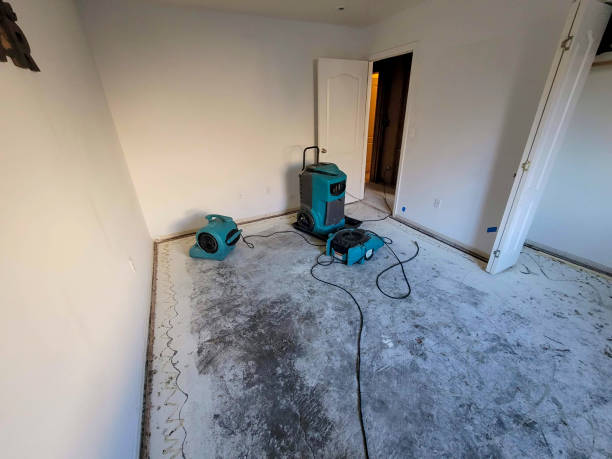 Reliable Treasure Island, FL Water damage restoration Solutions