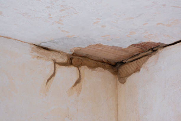 Best Local water damage restoration  in Treasure Island, FL