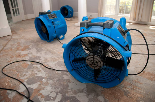 Best Residential water damage restoration  in Treasure Island, FL