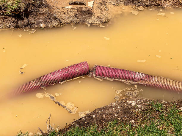Best Emergency water damage restoration  in Treasure Island, FL