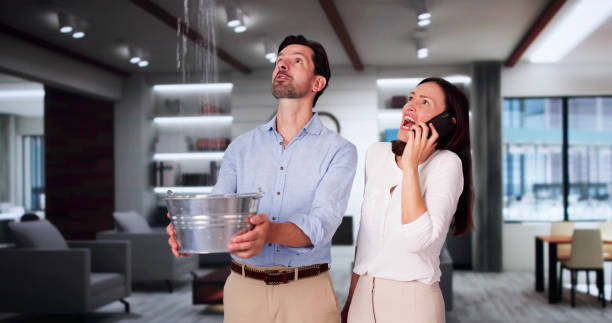 Best Water damage mitigation services  in Treasure Island, FL